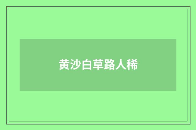 黄沙白草路人稀