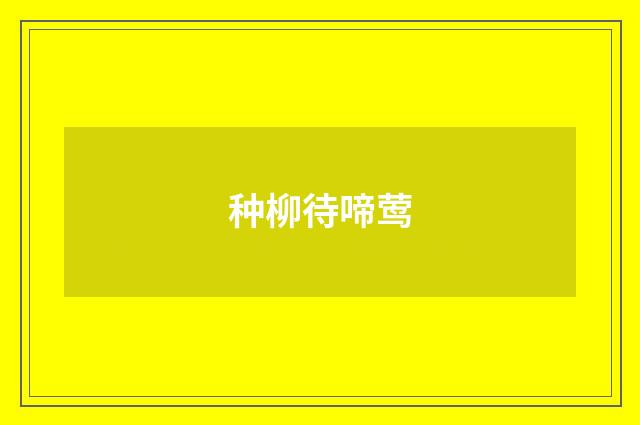 种柳待啼莺