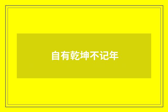 自有乾坤不记年