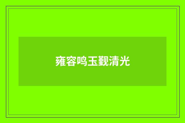 雍容鸣玉觐清光