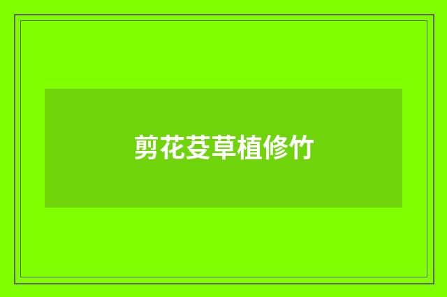 剪花芟草植修竹