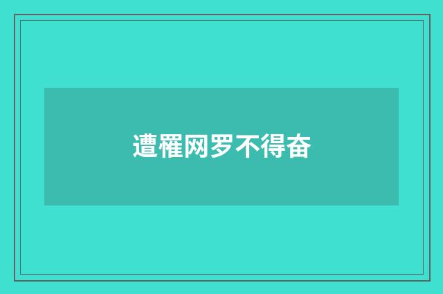 遭罹网罗不得奋