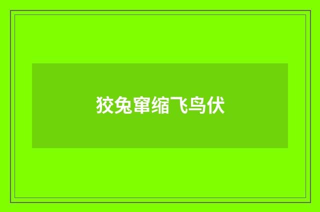 狡兔窜缩飞鸟伏