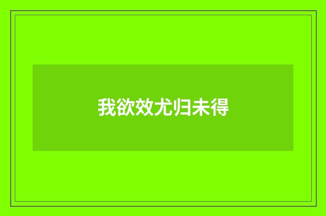 我欲效尤归未得