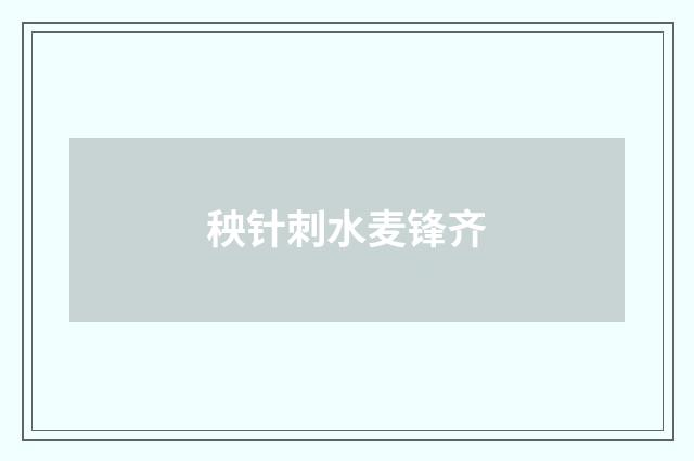 秧针刺水麦锋齐