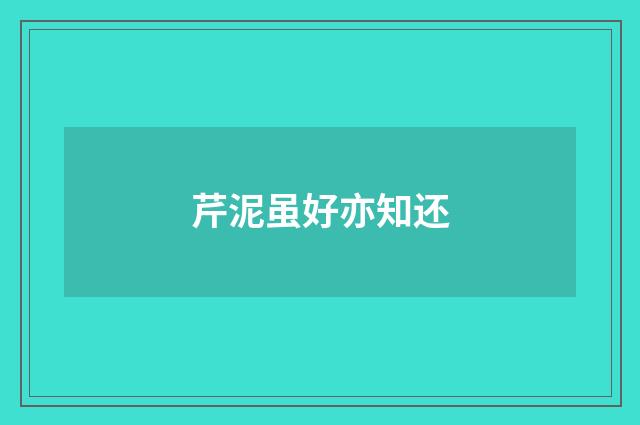 芹泥虽好亦知还