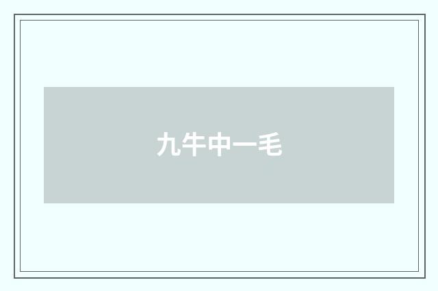 九牛中一毛