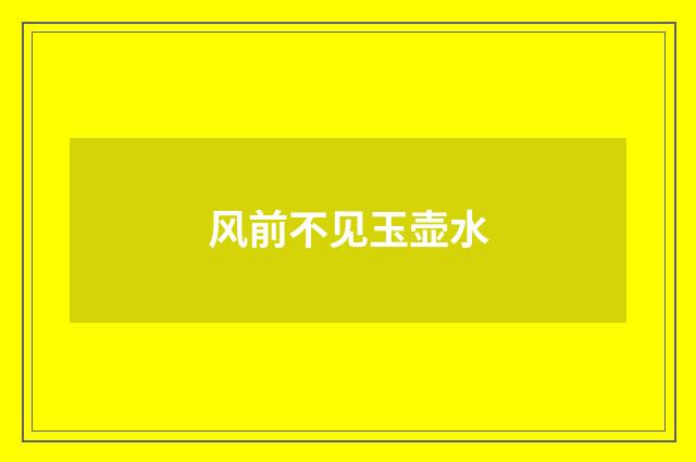 风前不见玉壶水