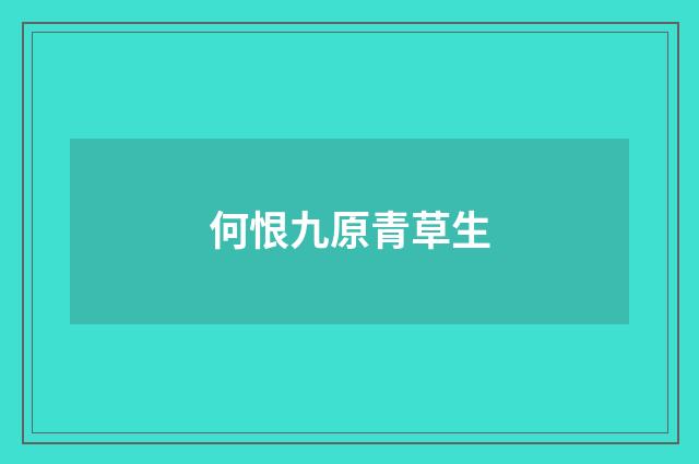 何恨九原青草生