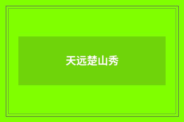 天远楚山秀