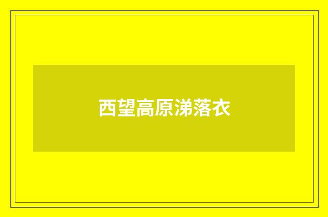 西望高原涕落衣