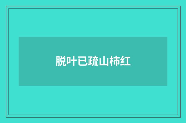 脱叶已疏山柿红
