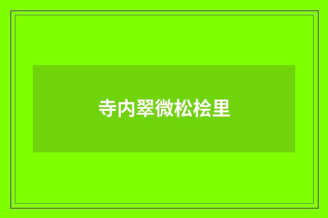 寺内翠微松桧里