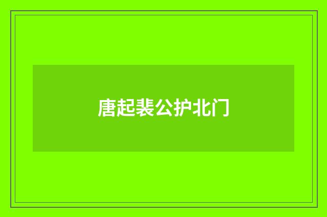 唐起裴公护北门