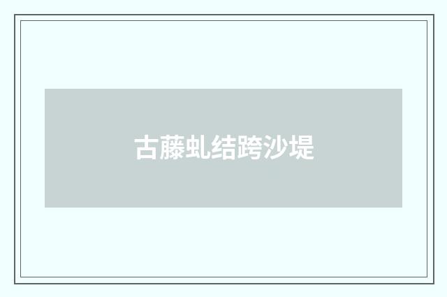 古藤虬结跨沙堤
