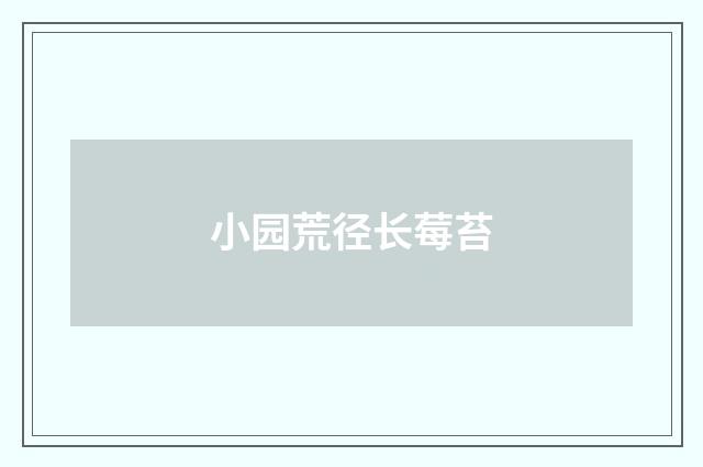 小园荒径长莓苔