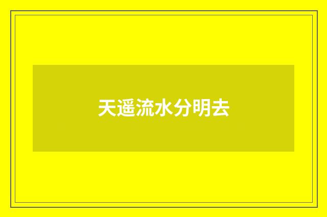 天遥流水分明去