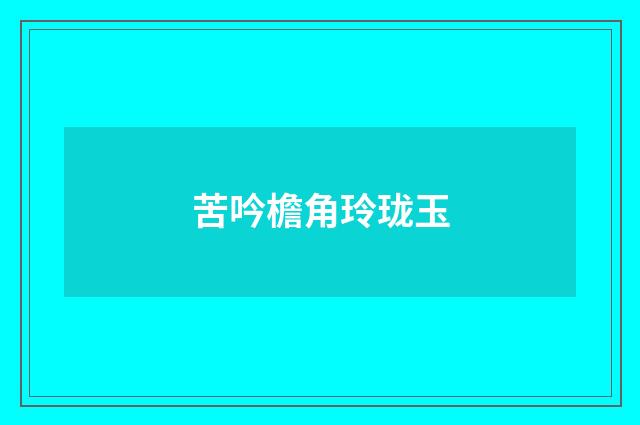 苦吟檐角玲珑玉