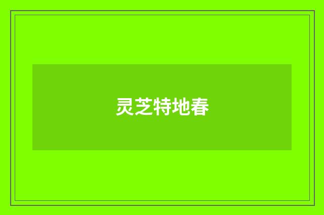 灵芝特地春