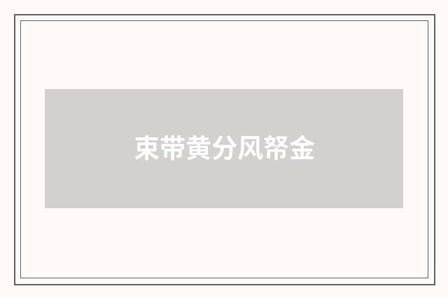 束带黄分风帑金