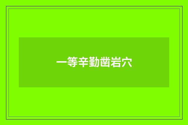 一等辛勤凿岩穴