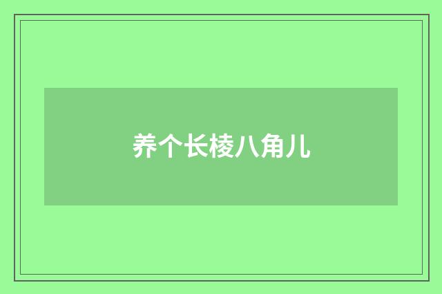 养个长棱八角儿