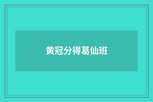 黄冠分得葛仙班