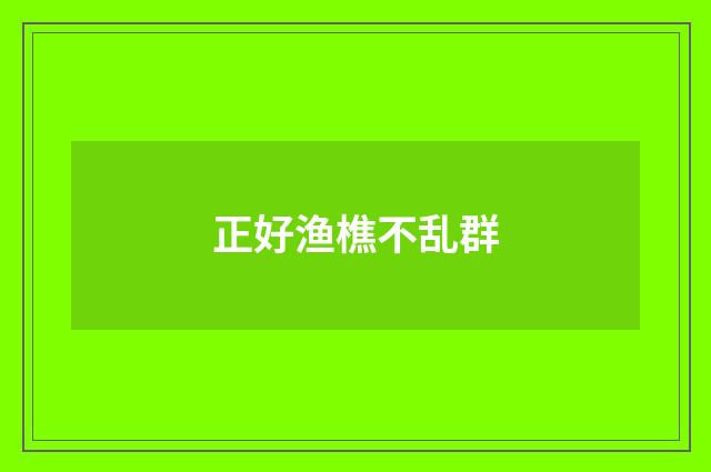 正好渔樵不乱群