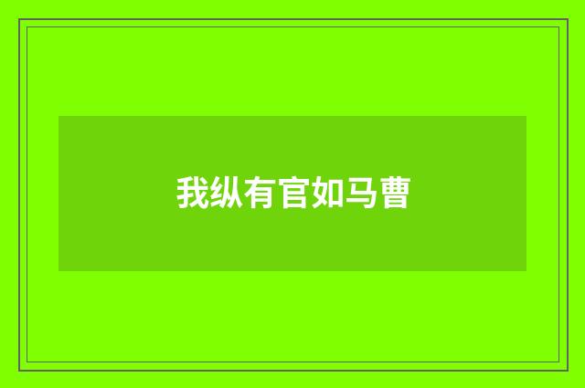 我纵有官如马曹