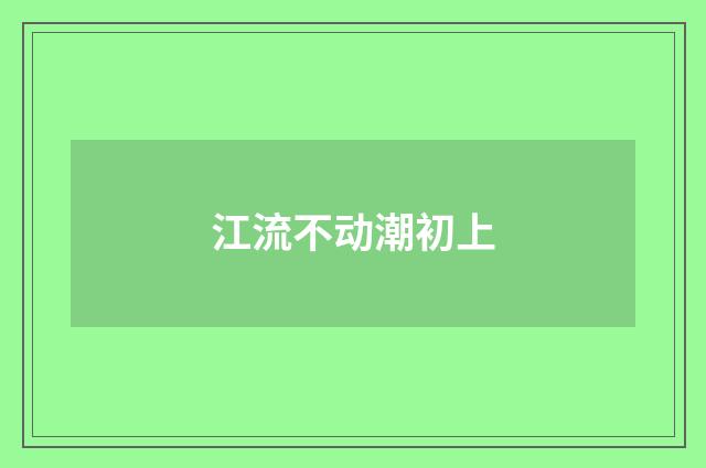 江流不动潮初上
