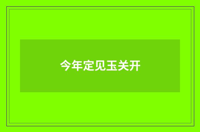 今年定见玉关开