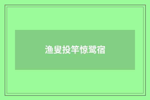 渔叟投竿惊鹭宿