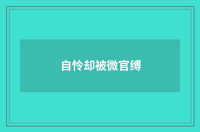 自怜却被微官缚