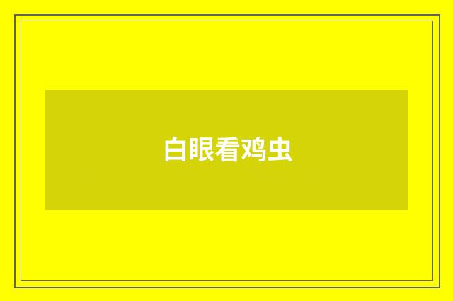 白眼看鸡虫