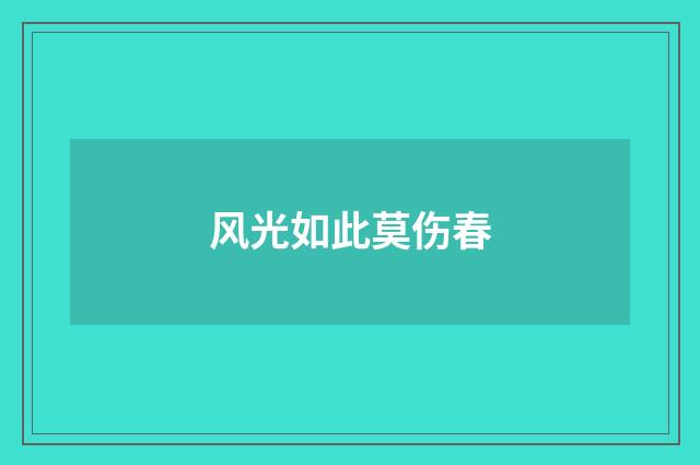 风光如此莫伤春