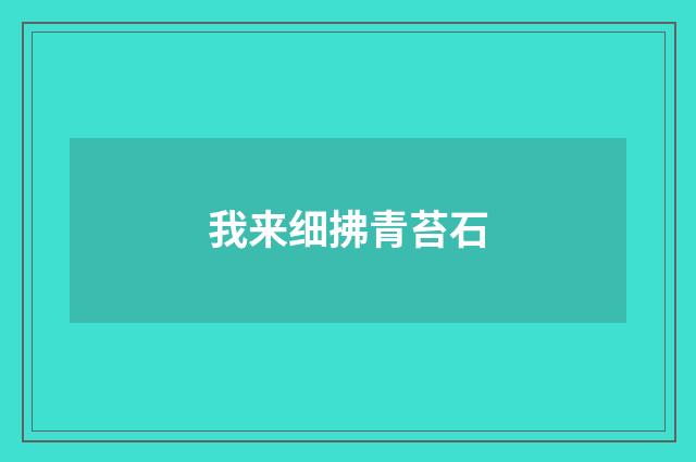 我来细拂青苔石