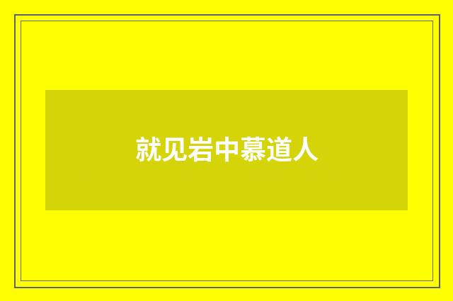 就见岩中慕道人