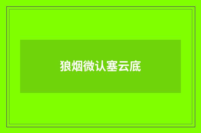 狼烟微认塞云底