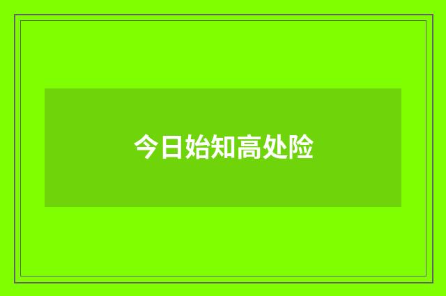 今日始知高处险