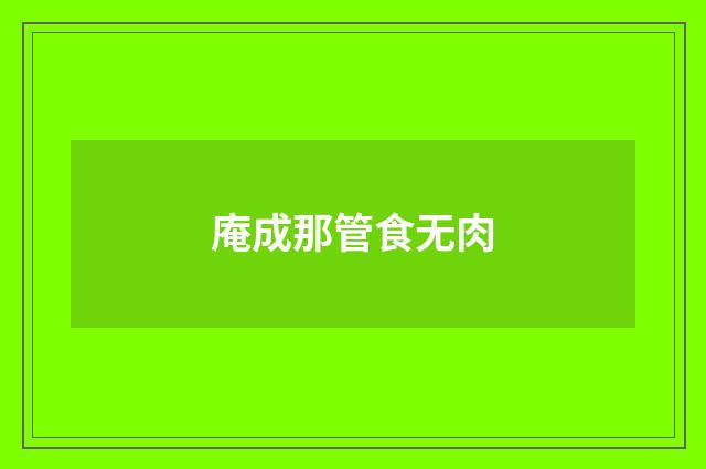 庵成那管食无肉