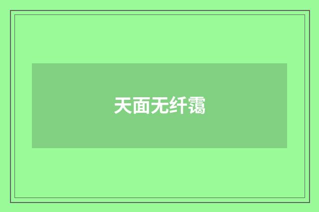 天面无纤霭