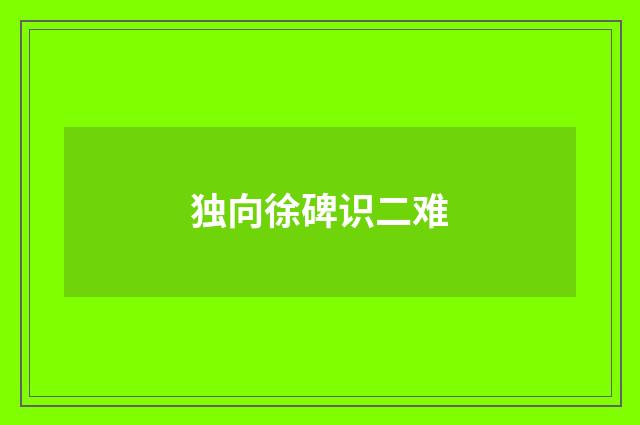 独向徐碑识二难