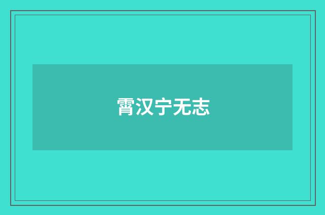 霄汉宁无志