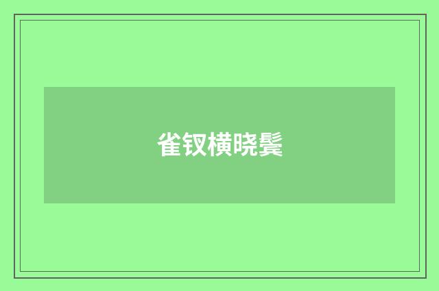 雀钗横晓鬓