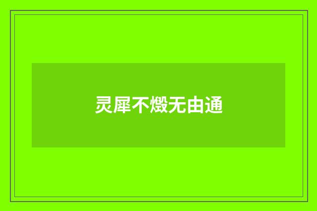 灵犀不燬无由通