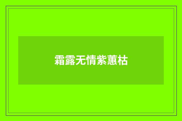 霜露无情紫蕙枯