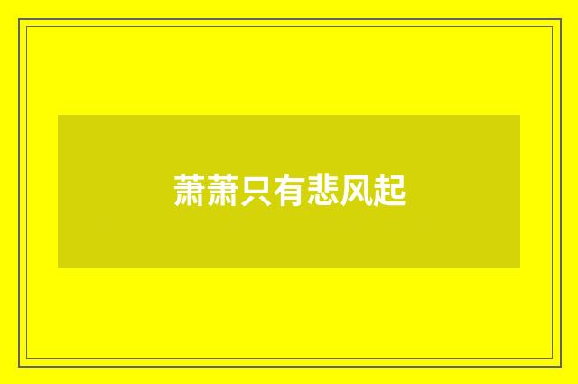 萧萧只有悲风起