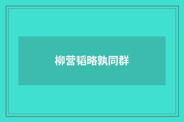 柳营韬略孰同群