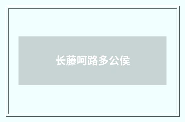 长藤呵路多公侯