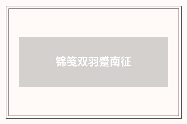 锦笺双羽蹙南征